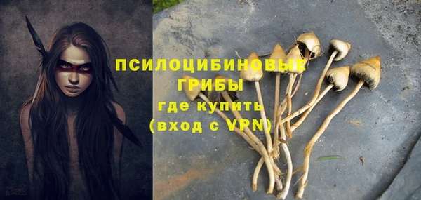 стаф Абинск